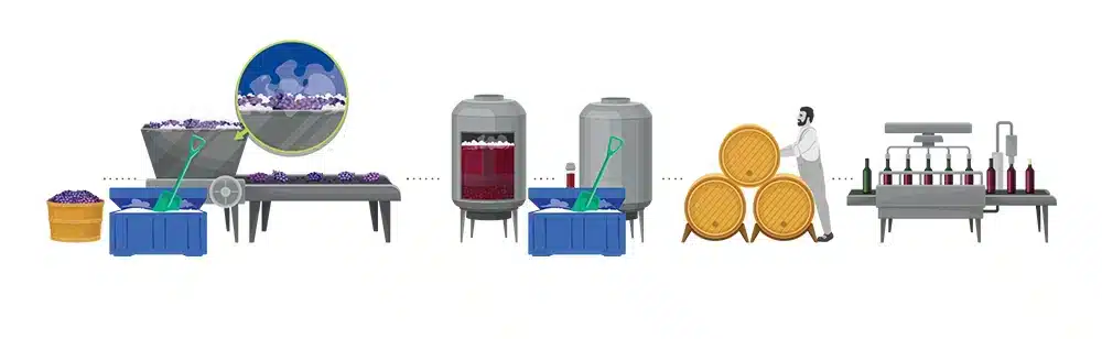 Eine illustrierte Darstellung des Weinherstellungsprozesses von links nach rechts: Zuerst werden Trauben in einem großen Behälter gesammelt, wobei eine Lupe zeigt, wie Trockeneis hinzugefügt wird. Daneben steht ein blauer Behälter mit Trockeneis und einer Schaufel. Die Trauben werden dann in einen Gärtank transportiert, wo der Fermentationsprozess stattfindet. Danach werden die Flüssigkeiten in einen zweiten Gärtank umgefüllt, und erneut ist ein blauer Behälter mit Trockeneis und einer Schaufel zu sehen. Anschließend wird die Flüssigkeit in Holzfässer umgefüllt, die von einer Person gestapelt werden. Schließlich werden Weinflaschen auf einem Förderband abgefüllt und verkorkt.